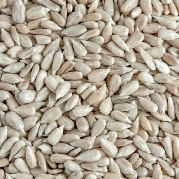 Stripped Sunflower seeds