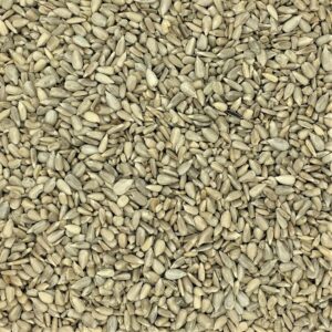 Sunflower Bakery Premium