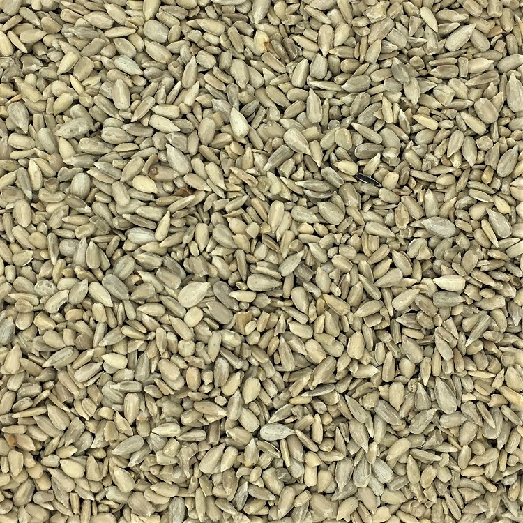 Sunflower Bakery Premium