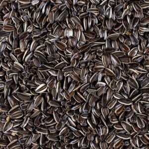 Stripped Sunflower seeds